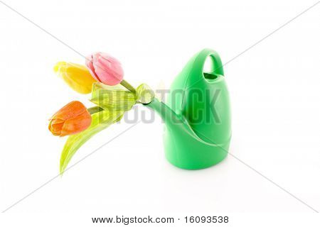 Bailer med blomst isoleret på hvid