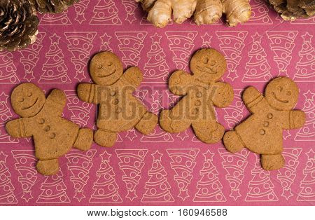 Christmas smiling gingerbread men men and women onbackground with Christmas decoration