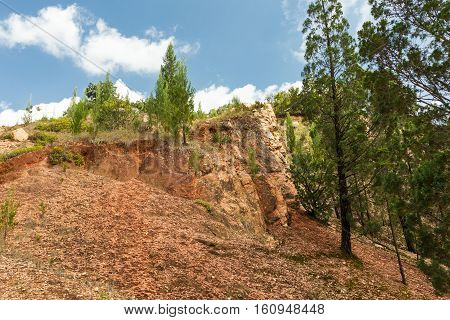 Cliffs and rocks. Kakamega Forest. Kenya, Africa