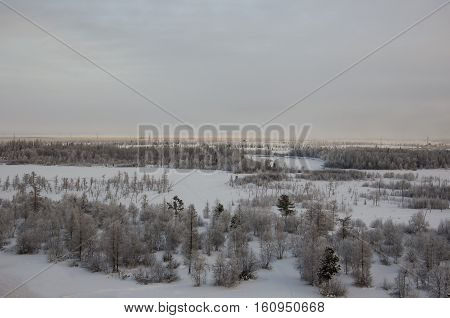 Winter landscape with forest in snow in the evening sunset. North