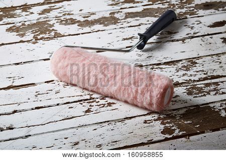 Roller  Paint