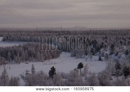 Winter landscape with forest in snow in the night. North
