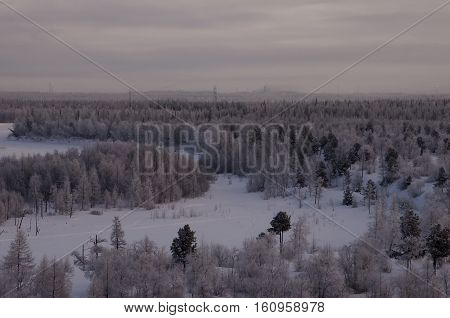 Winter landscape with forest in snow in the evening sunset. North