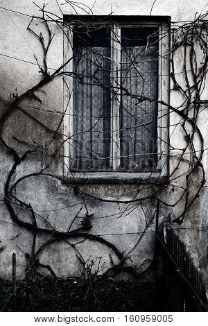 Haunted house with scary windows. Czech Republic 12.08.2013