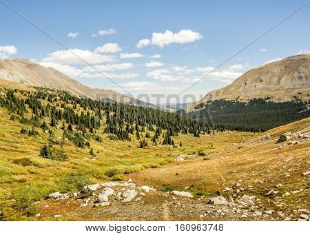 Pine Valley in the Collegiate Peaks Wilderness Pike and San Isabel National Forests near Buena Vista Colorado.