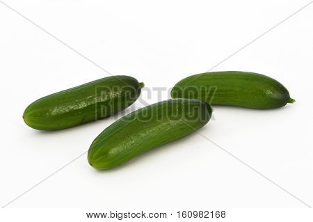 Pictures of fresh healthy silor salad on white and copy space stock photography