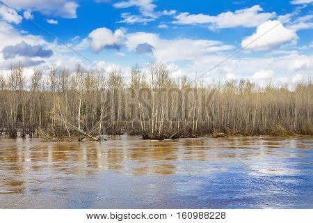 The spring flood on the river Berd. Novosibirsk oblast a district of Old Iskitim Siberia Russia