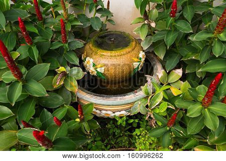 water in the jar and plant red flowers
