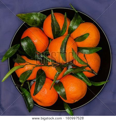 Ripe orange tangerines with green leaves in plate on black plate, top view. Low key. Concept of healthy nutrition, diet, detox
