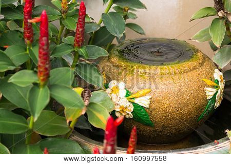 water in the jar and plant flowers
