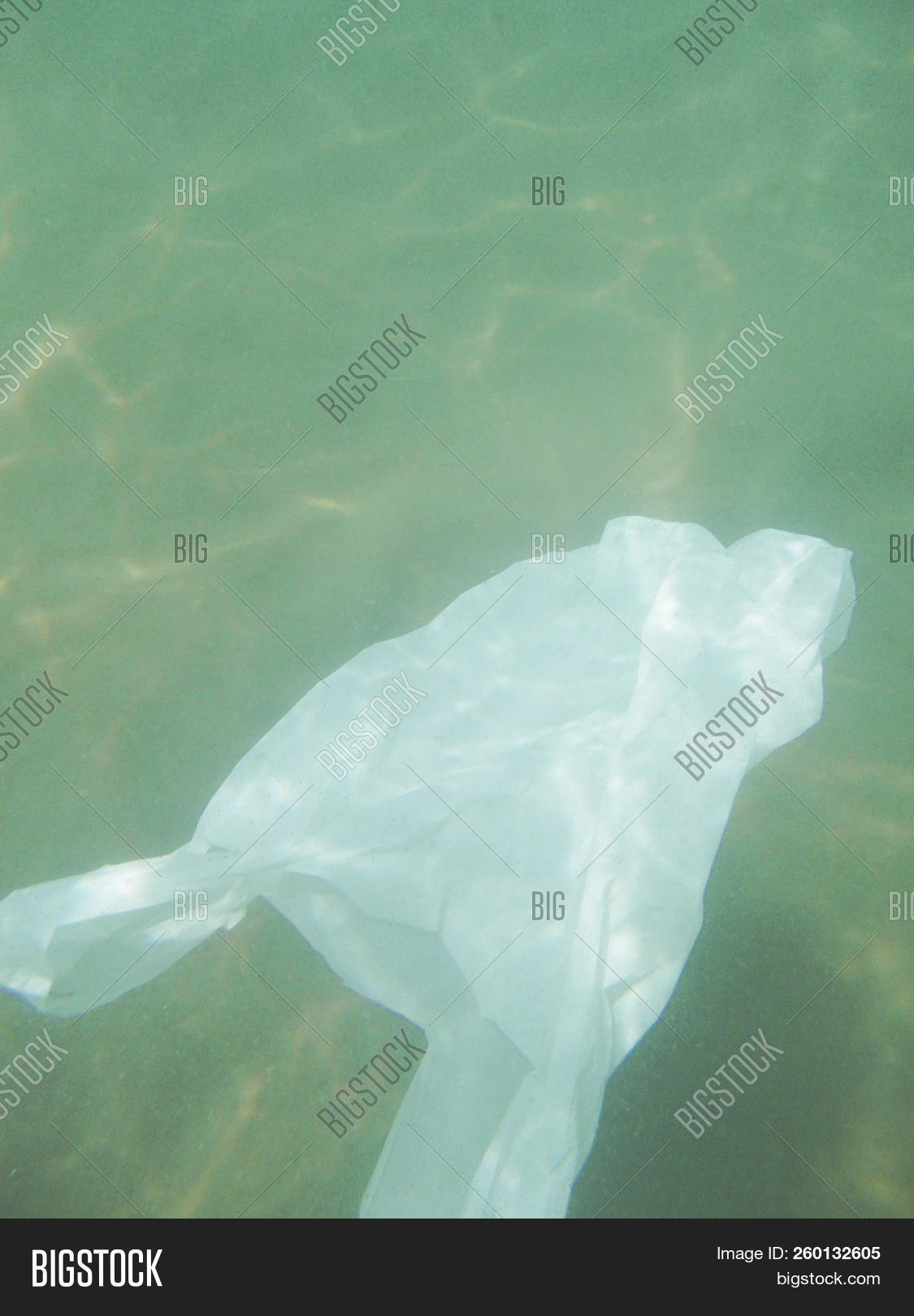 Plastic Bag Floating Image & Photo (Free Trial) Bigstock