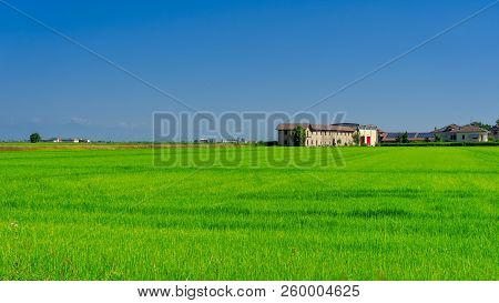 Countryside Along The Road From Lignana To Ronsecco, Near Vercelli, Piedmont, Italy, At Summer