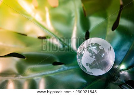 World Globe Cystal Glass On Green Lush Leaf. Environmental Conservation. World Environment Day. Glob