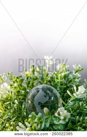 World Globe Cystal Glass On Green Leaves Bush. Environmental Conservation. World Environment Day. Gl
