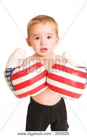 Boxer bambino