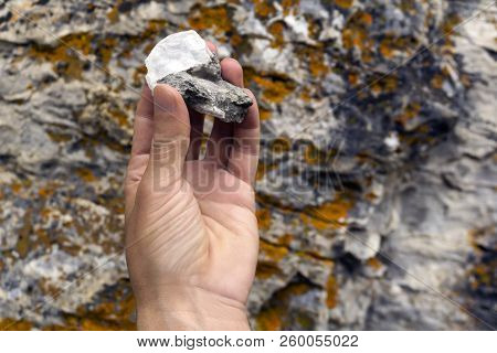 Human Hand Holds A Mineralogical Sample Of Limestone With Mica On The Background Of A Rocky Surface