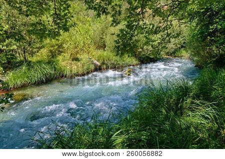 turbulent flow and lush riverbanks of Lousios River, Greece