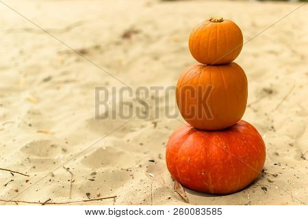 Pumpkin In Nature. Autumn Holiday Harvest Festival Halloween. Day Of The Dead. Hallowmas
