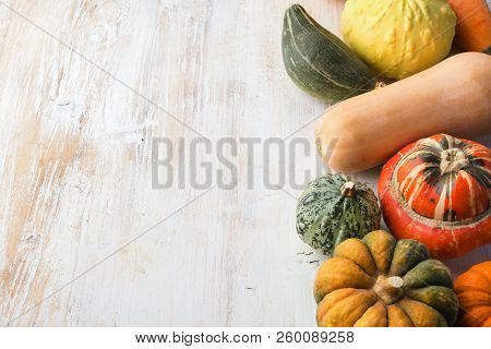 Assortment Of Pumpkins And Gourds On The White Wooden Tableba Ckground, Copy Space For Text, Selecti