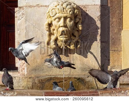 Pigeons Enjoy The Refreshing Water Of The  Fountain In The San Isidoro Square - Leon, Castile And Le