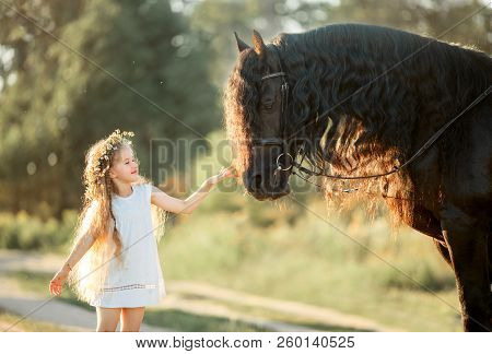 Little  Girl With Black Friesian Stallion At Summer Evening