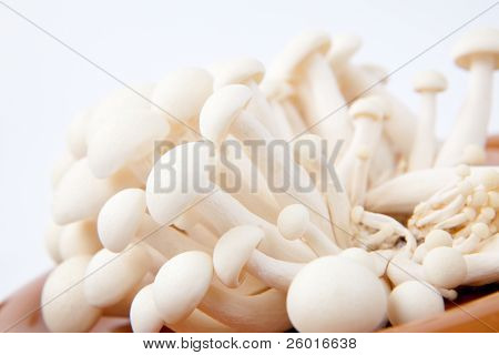 Closeup banda čerstvými houbami Enoki