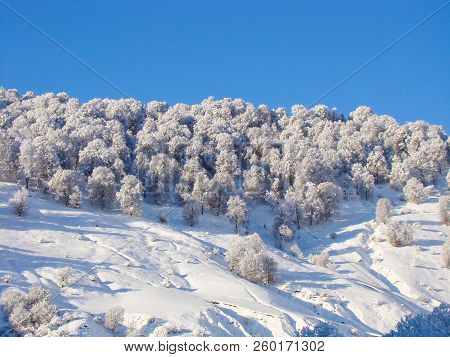 Beautiful Winter Landscape, Mountains In The Snow