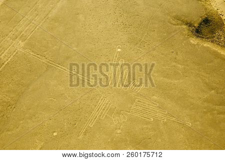 The Hummingbird - Nasca Lines - Peru