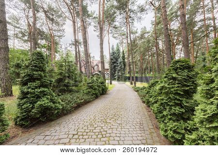Cobbelstone Road In The Woods Leading To An Old House. Real Photo