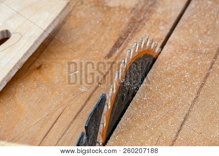 Saw For Cutting Wood Circular Saw Blade With Sharp Teeth On A Background Of Birch Plywood