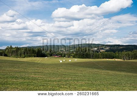 Scenic View Of Green Agricultural Field Under Cloudy Sky, Hamar, Hedmark, Norway