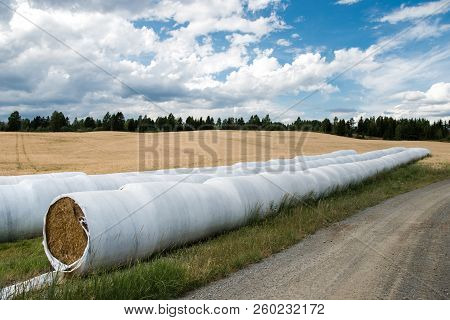 Wrapped Haystacks On Field Under Cloudy Sky, Hamar, Hedmark, Norway