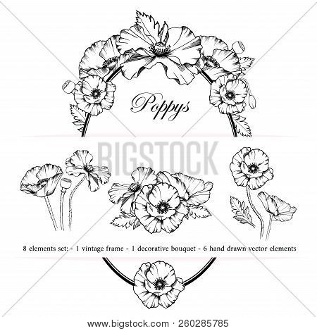 Decorative Elements Set. Hand Drawn Vector Ink Illustration Of Poppy Flowers. Picture Frames