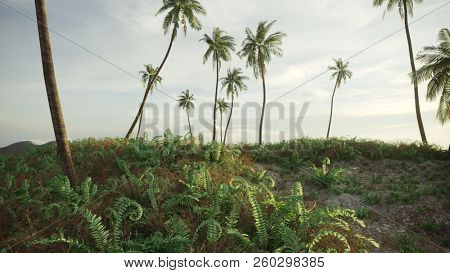 3d rendering of the prehistoric landscape with fern plants and palm trees