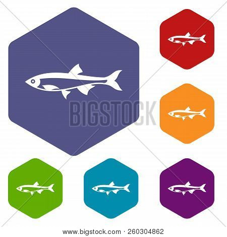 Herring Fish Icons Set Rhombus In Different Colors Isolated On White Background