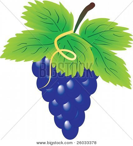 Grappolo d'uva