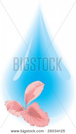 Goutte d'eau propre par réflexion de la fleur. Illustration vectorielle