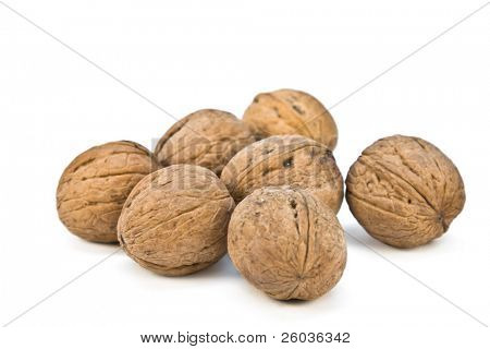 Noci circassa isolate on white background
