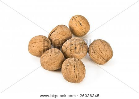 Noci circassa isolate on white background