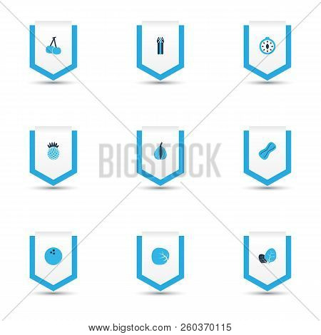 Food Icons Colored Set With Sorrel, White Cabbage, Palm Fruit And Other Morello Elements. Isolated V
