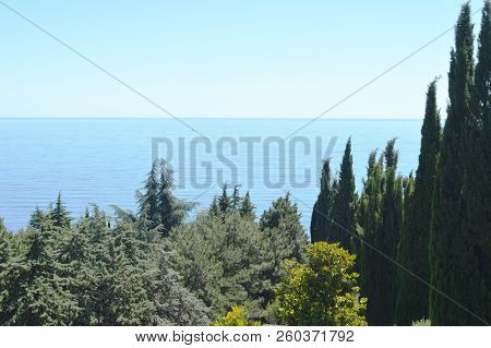 Top View Of The Sea And The Tops Of Cypresses In The Park On A Sunny Day