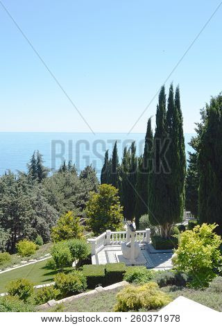 Top View Of The Sea And The Tops Of Cypresses In The Park On A Sunny Day