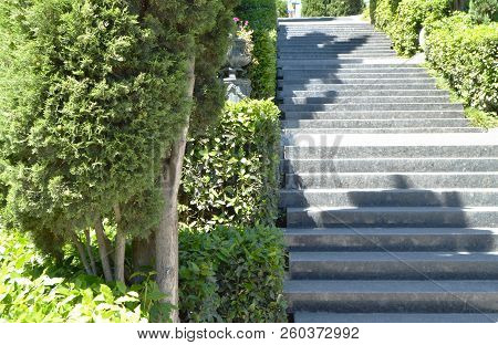 Marble Staircase Leading To The Sea Along The Cypress Trees In The Park On A Sunny Day