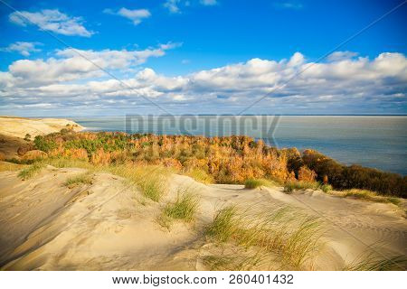 Autumn In The Dunes Of Curonian Spit In Nida, Neringa, Lithuania