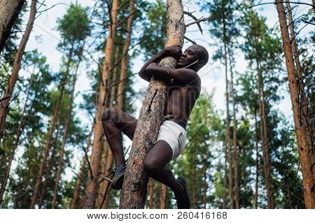 Male Black With No Shirt Climbs A Tree
