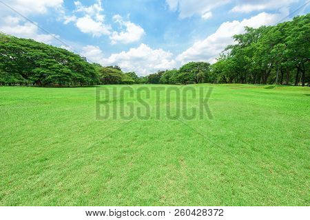 Beautiful Landscape In Park With Green Grass Field.