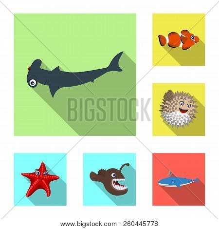 Vector Illustration Of Sea And Animal Symbol. Collection Of Sea And Marine Vector Icon For Stock.