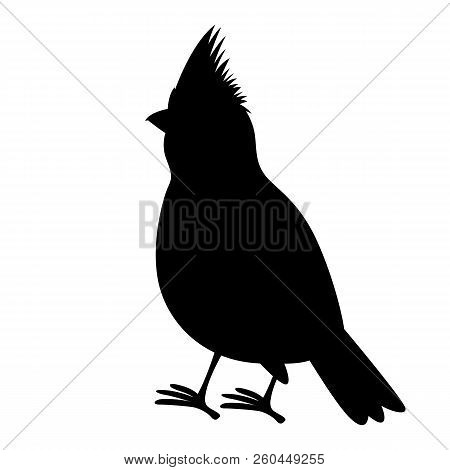Cardinal Bird Vector Illustration  Black Silhouette   Profile Side