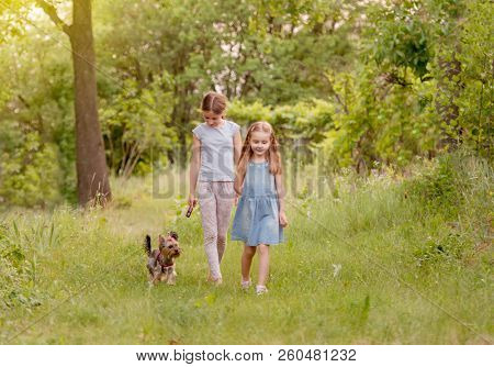 Two lovely sisters playing with little Yorkshire terier puppy on summer sunny day