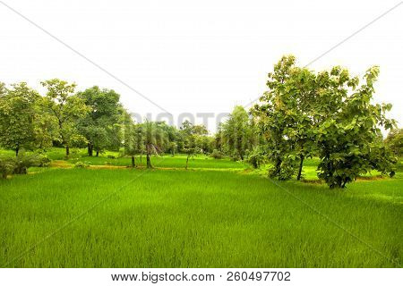 Landscape Of The Mountain Ranges Of Western Ghats At State Of Maharashtra Near Wakanda Dam In India.